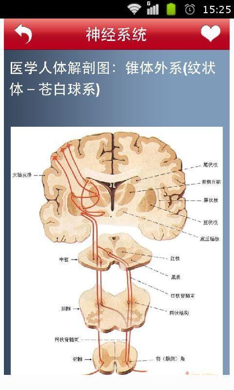 体高清全彩解剖典籍截图3