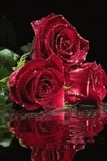 Roses Water Live Wallpaper截图1