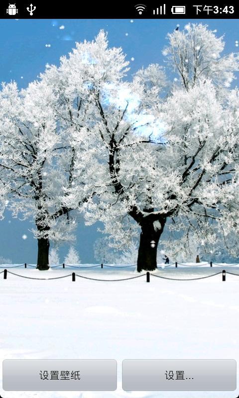 动态壁纸-缤纷雪景截图4