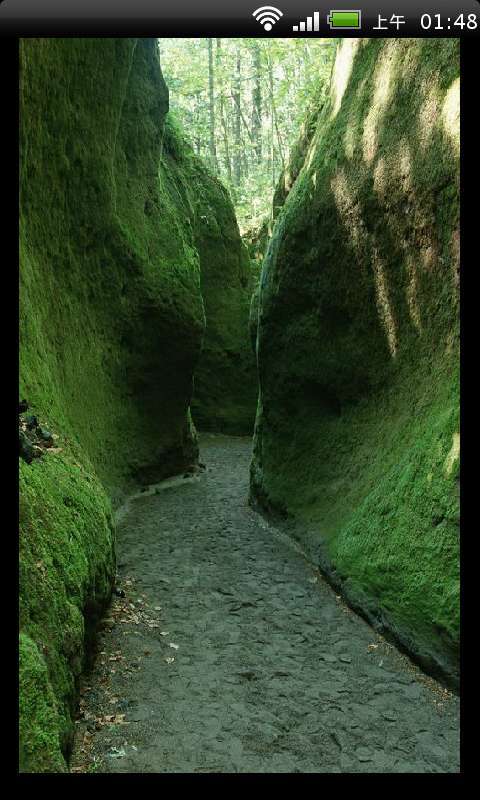 漫漫长路，唯有这边风景独好截图2