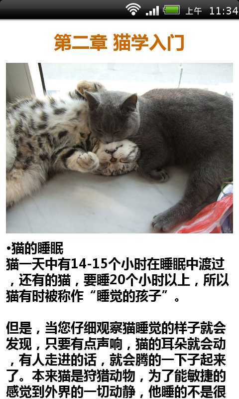 猫咪饲喂训练指南截图2