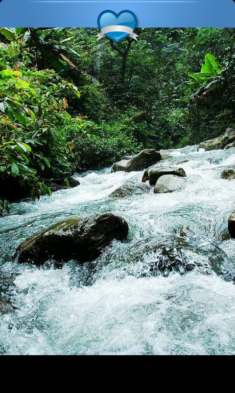 高山流水壁纸1截图3