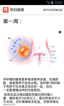 孕妇画册截图