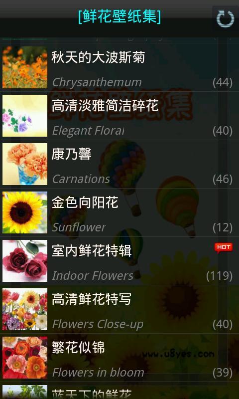 鲜花壁纸集截图2