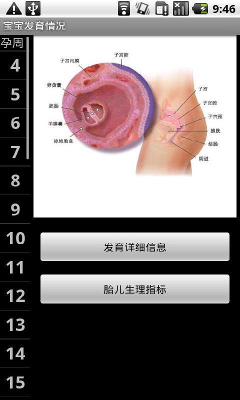 孕宝宝截图1