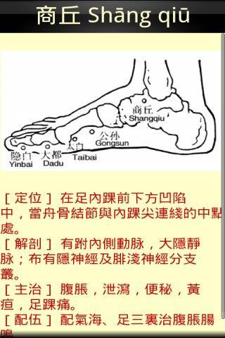 经脉穴位图截图4