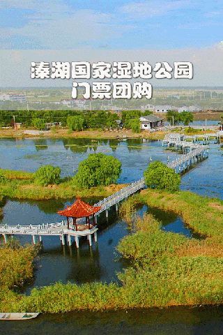 溱湖国家湿地公园截图1