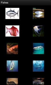 儿童鱼类图谱截图