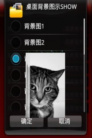 潘多拉桌面之可爱猫咪主题截图3