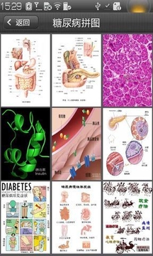 糖尿病拼图截图