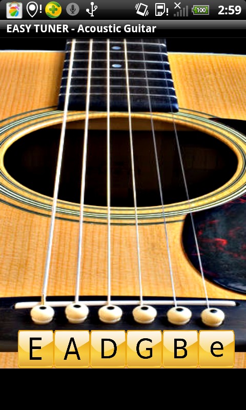 Easy Tuner- Acoustic Guitar截图2