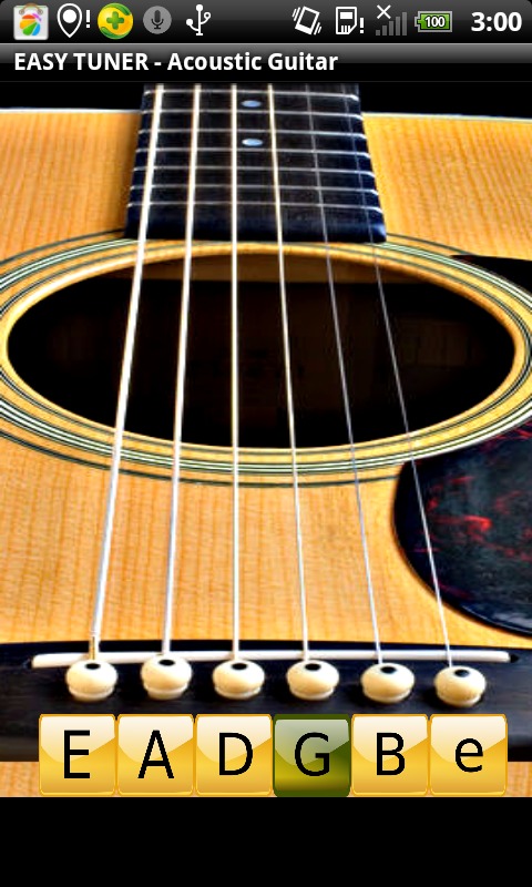 Easy Tuner- Acoustic Guitar截图3