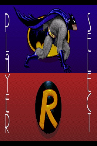 蝙蝠侠与罗宾截图2