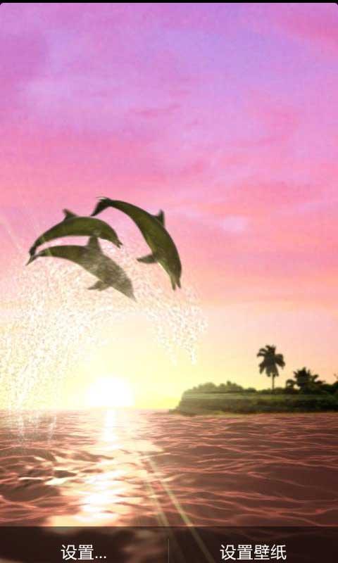 海豚的太阳动态壁纸截图