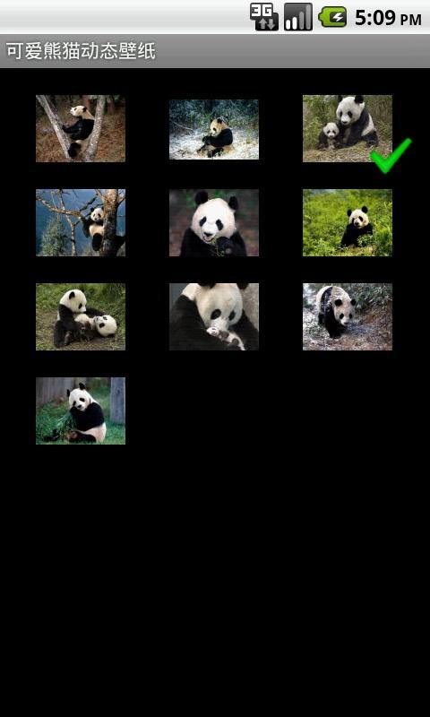 可爱熊猫动态壁纸截图3
