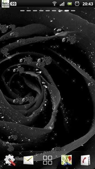 黑玫瑰动态壁纸截图1