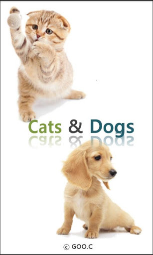 Cats & Dogs AD截图1