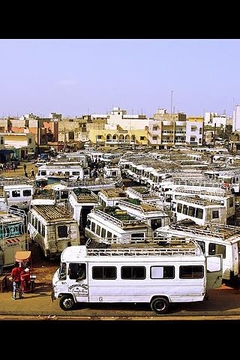 Discover Senegal截图