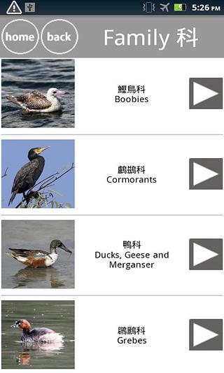 Birds of Hong Kong截图1