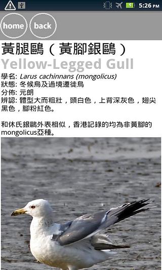 Birds of Hong Kong截图2