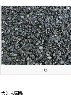 中国煤截图2