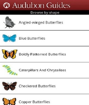 南北美蝴蝶图鉴截图
