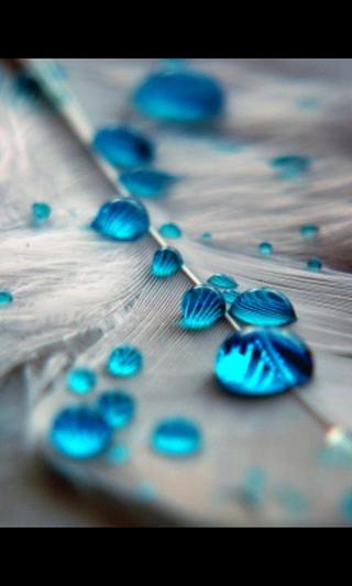 Water Drops Live Wallpaper截图5