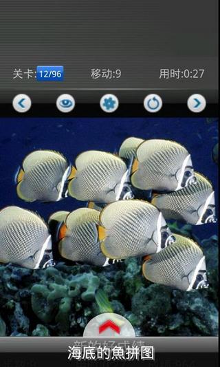 Undersea animals,海底世界拼图截图8