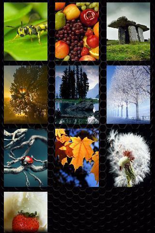 Nature Puzzle截图3