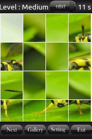 Nature Puzzle截图5