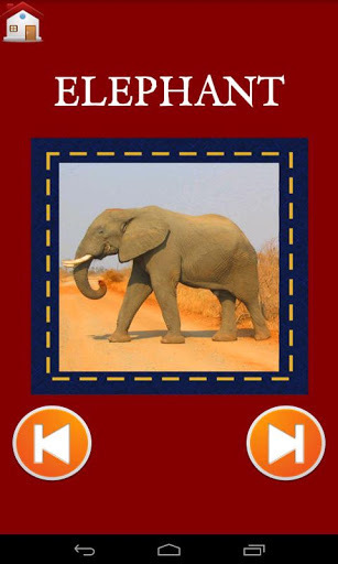 Animal Jigsaw Puzzles and Quiz截图3