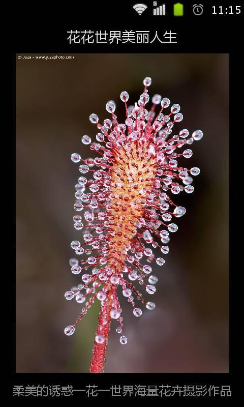 花花世界美丽人生截图1