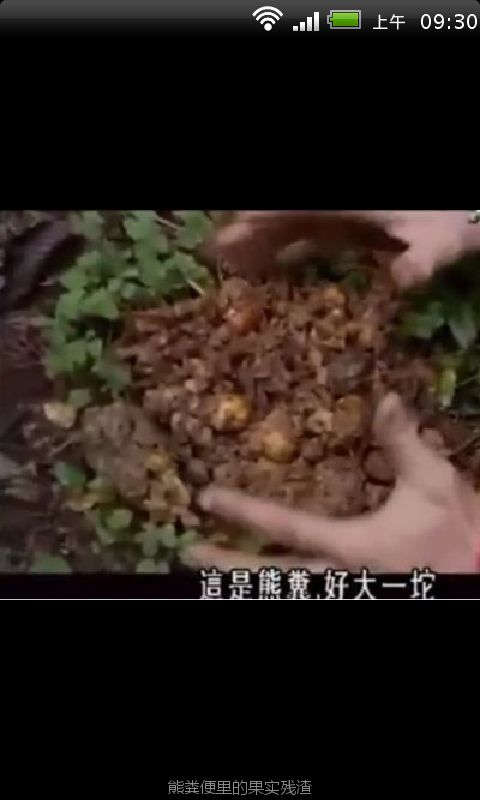 荒野求生之贝尔的菜单截图1