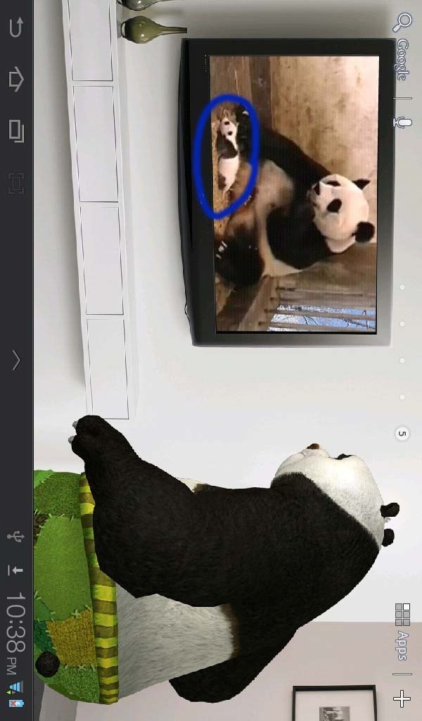 熊猫打喷嚏壁纸截图1