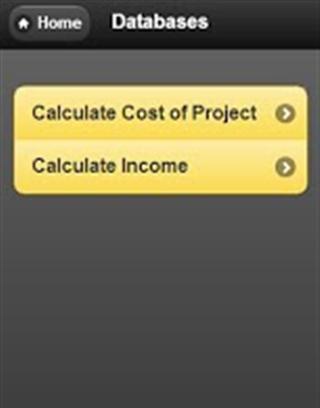 Calculate Income截图2