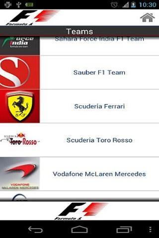 Formula 12013截图2