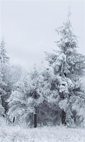 雪景拼图截图4