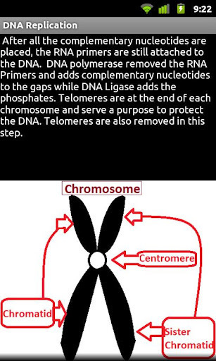 DNA Replication截图1