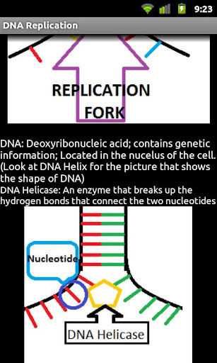 DNA Replication截图5