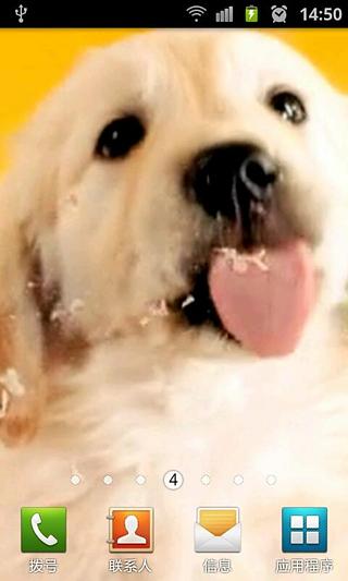 Licking Doggy Live Wallpaper截图2