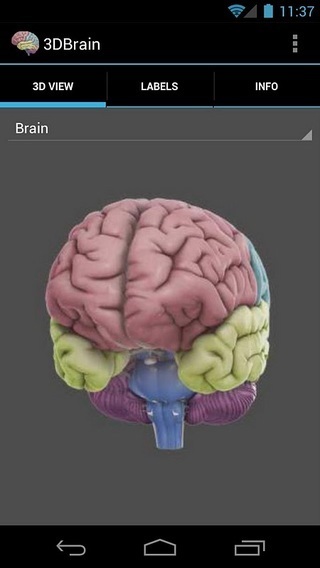 3D Brain截图1