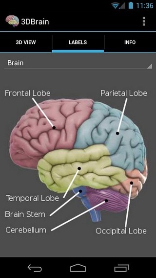 3D Brain截图3