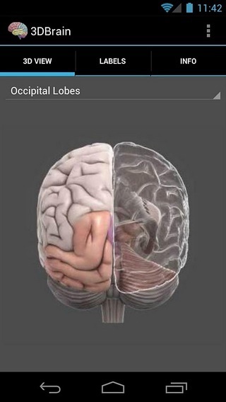 3D Brain截图4