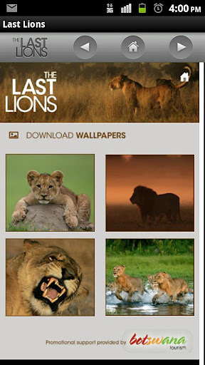 The Last Lions截图2