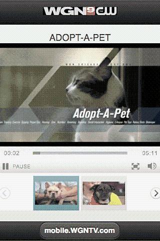 WGNTV - Adopt-A-Pet截图1