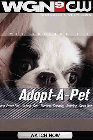 WGNTV - Adopt-A-Pet截图2