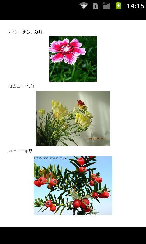 花言花语大全截图1