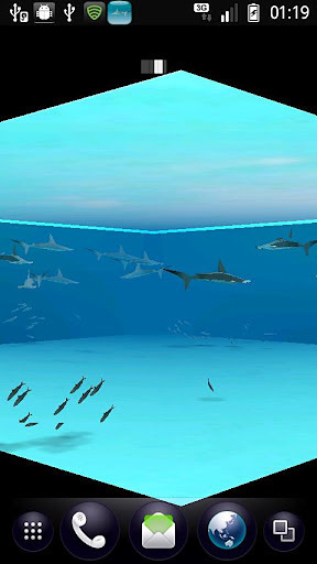 锤头鲨鱼和沙丁鱼截图2