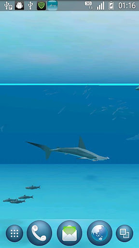 锤头鲨鱼和沙丁鱼截图3