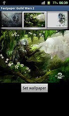 Fastpaper Guild Wars 2截图2